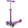 Purple/Pink